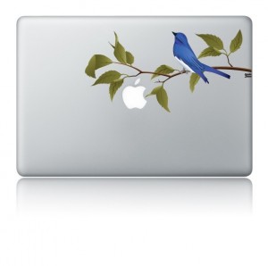 customize your Iphone/macbook...