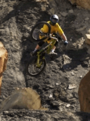 Life Cycles teaser contest